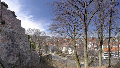 Blick von der Burghalde auf die Altstadt